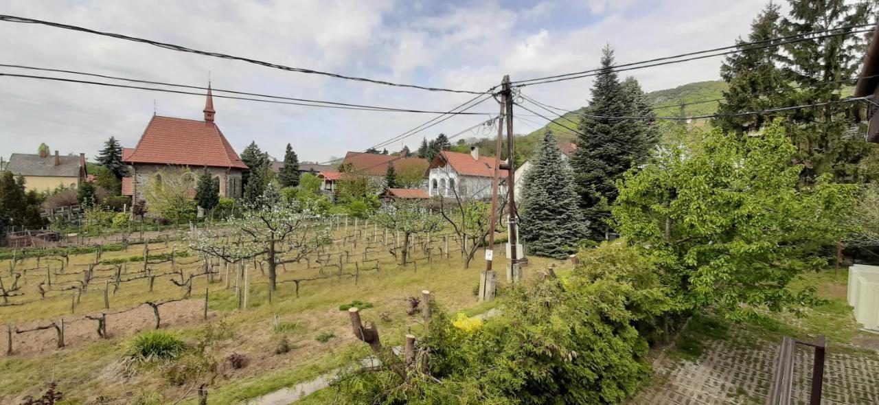 Hotel Nagy Vendeghaz Badacsonytomaj Exterior foto