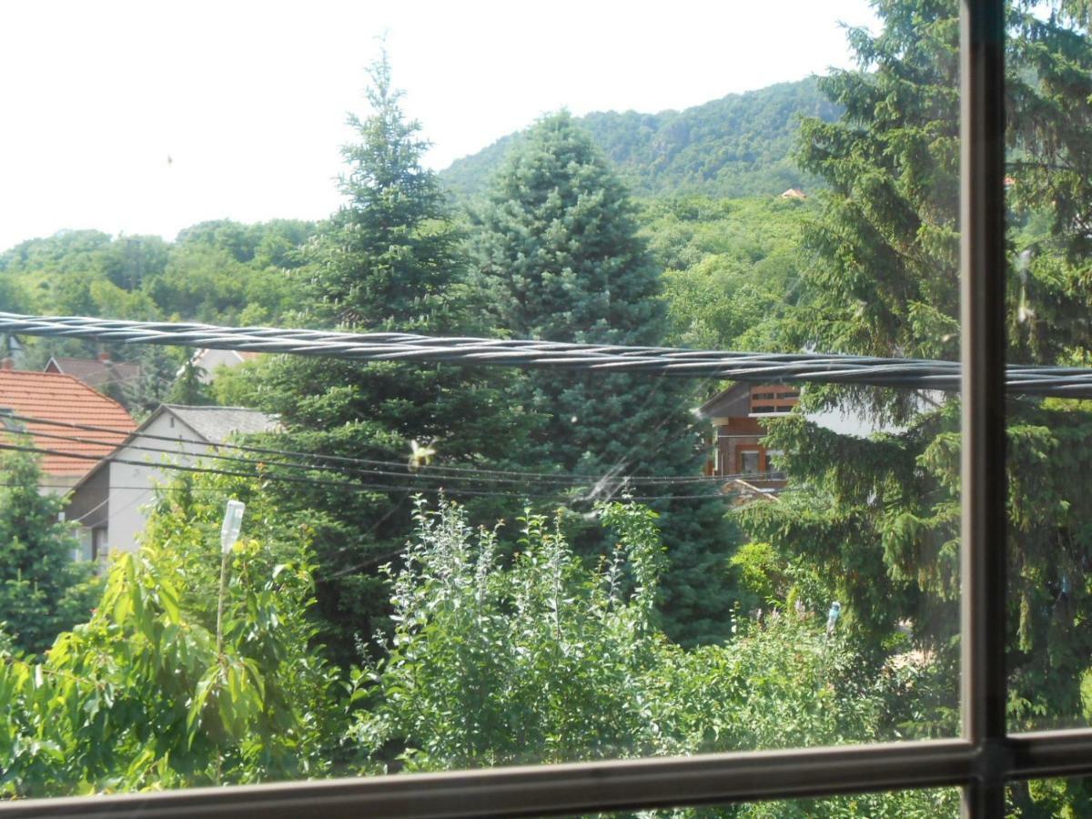 Hotel Nagy Vendeghaz Badacsonytomaj Exterior foto